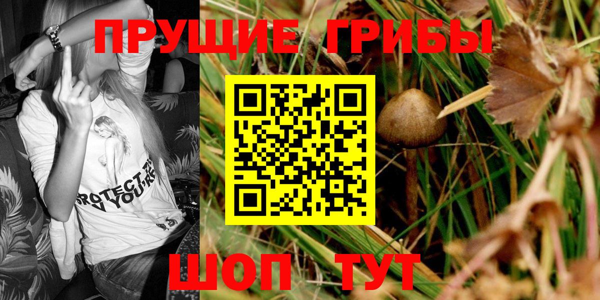 Галлюциногенные грибы Psilocybe Спасск-Дальний