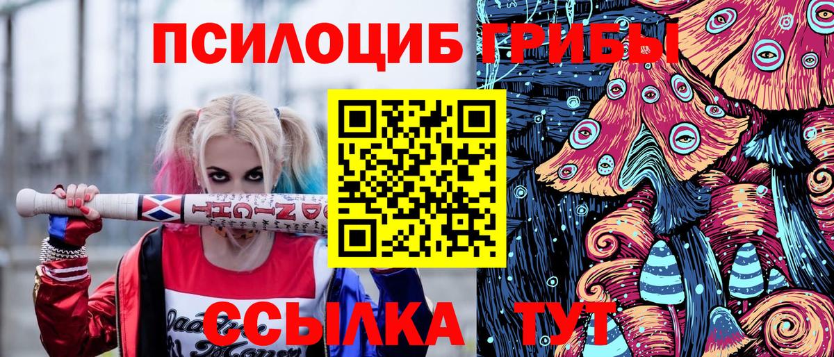 продажа наркотиков  Вход с VPN  Спасск-Дальний  Псилоцибиновые грибы Psilocybe  Галлюциногенные грибы прущие грибы 